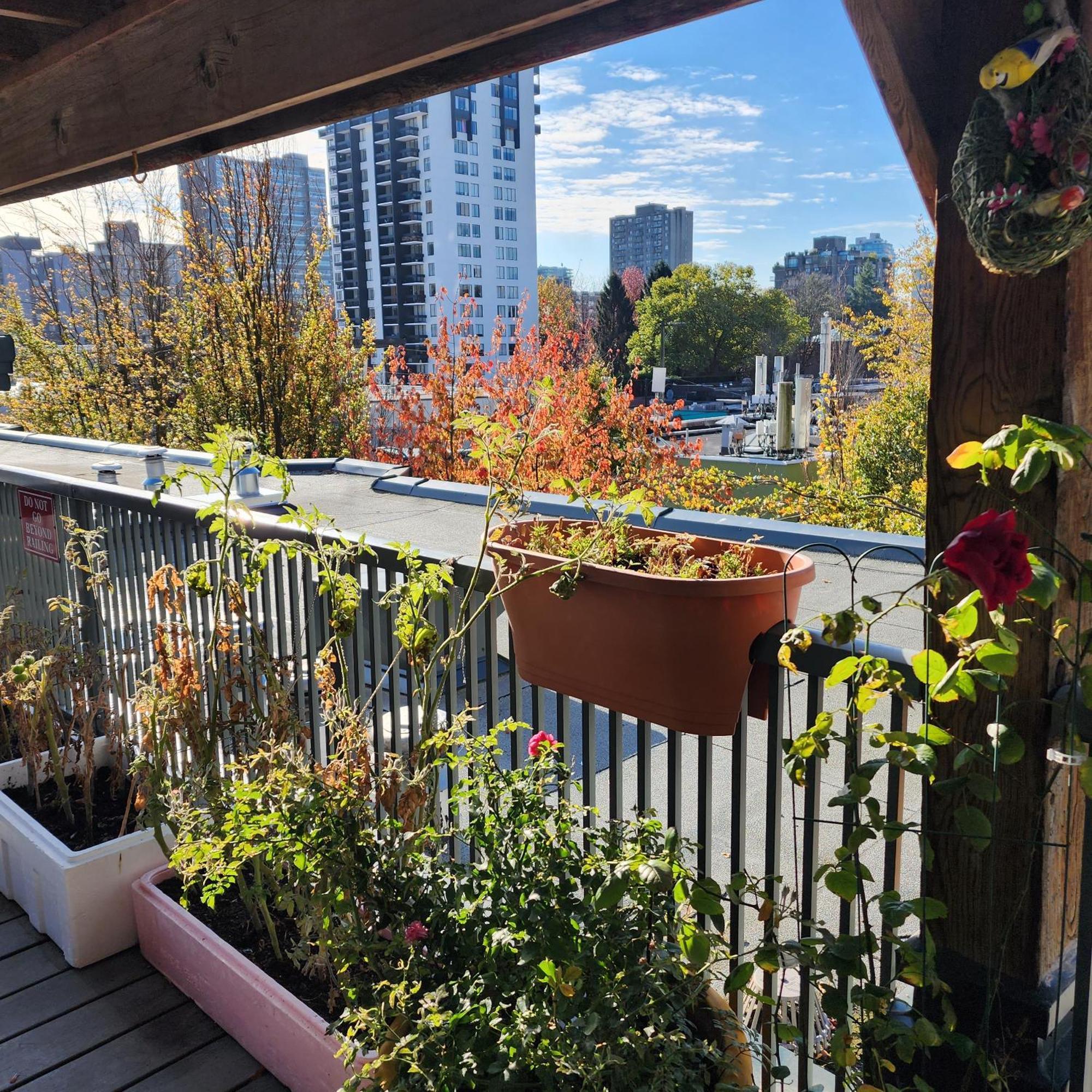 Times Square Aparthotel Vancouver