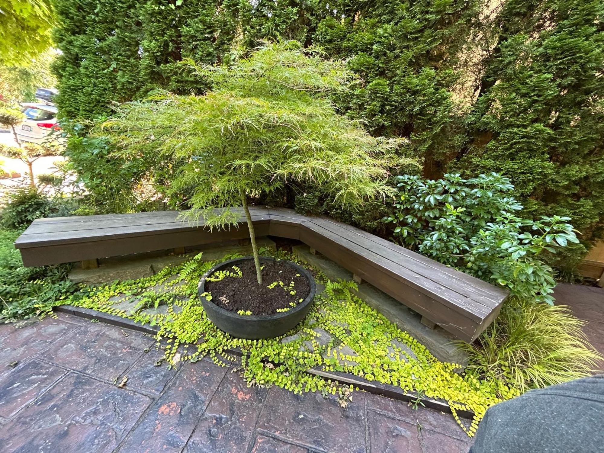 Garden Oasis Near Popular Main Street *