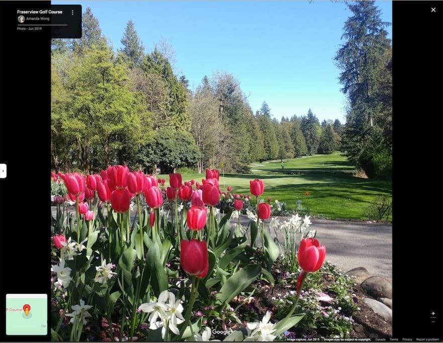 Captivating And Breathtaking In Vancouver * Burnaby