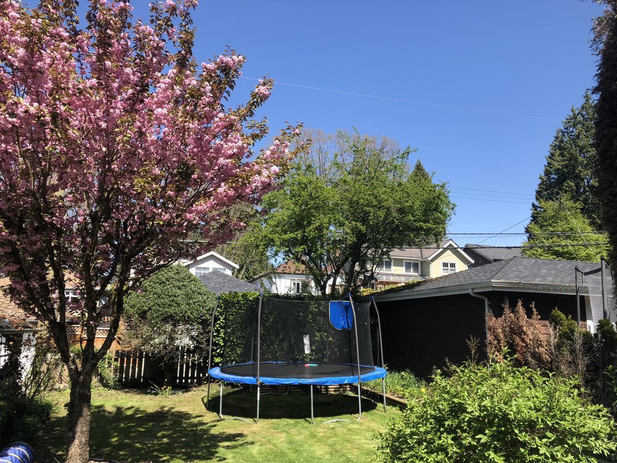 The Sunshine House-free Parking 3*