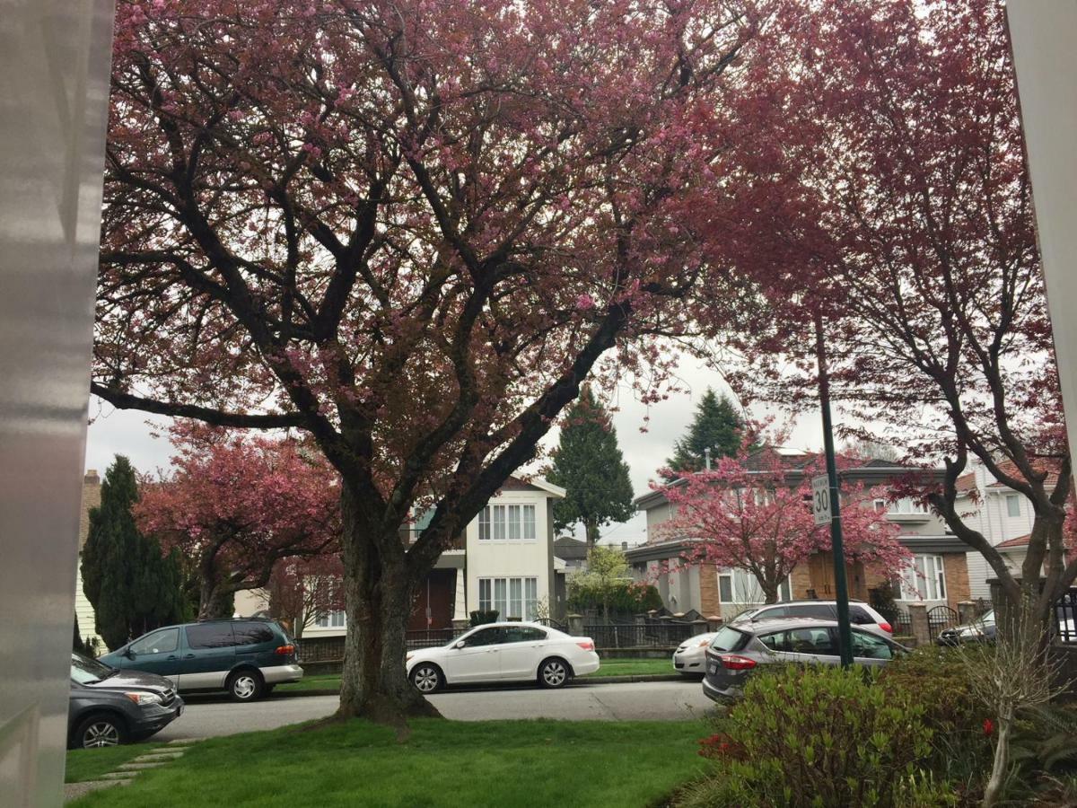 Homestay Lee Vancouver